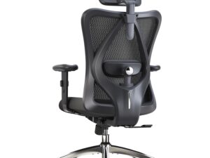 SIHOO M18 Ergonomic Office Chair, Computer Desk Chair with Adjustable Headrest and Lumbar Support, High Back Executive Swivel Chair for Home Office (Pure Black)