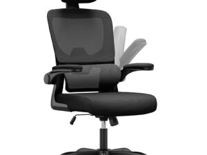 naspaluro Ergonomic Office Chairs with Lumbar Support, High Back Home Office Desk Computer Chairs, Adjustable Headrest and Flip-up Armrests, Swivel Mesh Task Chair-Black Chair