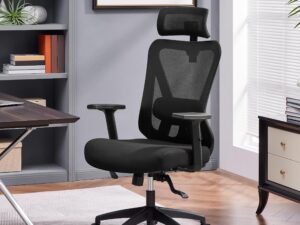 Yaheetech Office Chair Ergonomic Desk Chair High Back Computer Chair Swivel Executive Work Chair with Adjustable Headrest, Lumbar Support & 2D Metal Armrest for Home Office Study, Black